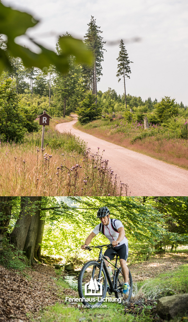 Fahrradparadies Rennsteig im Thüringer Wald bei der Ferienhaus Lichtung