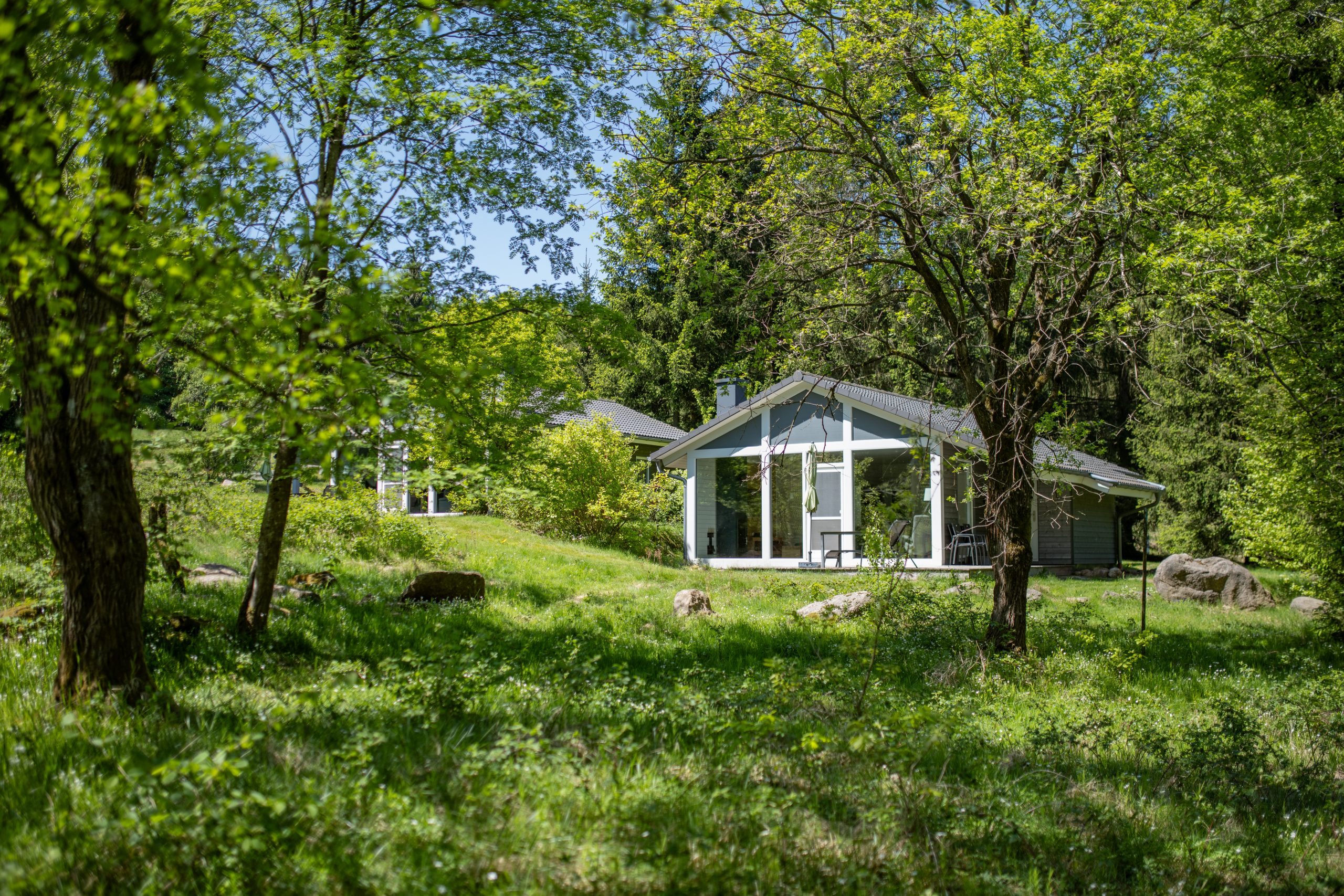 Das Foto zeigt ein Ferienhaus der Ferienhaus Lichtung im Grünen, ringsherum grüne Natur.