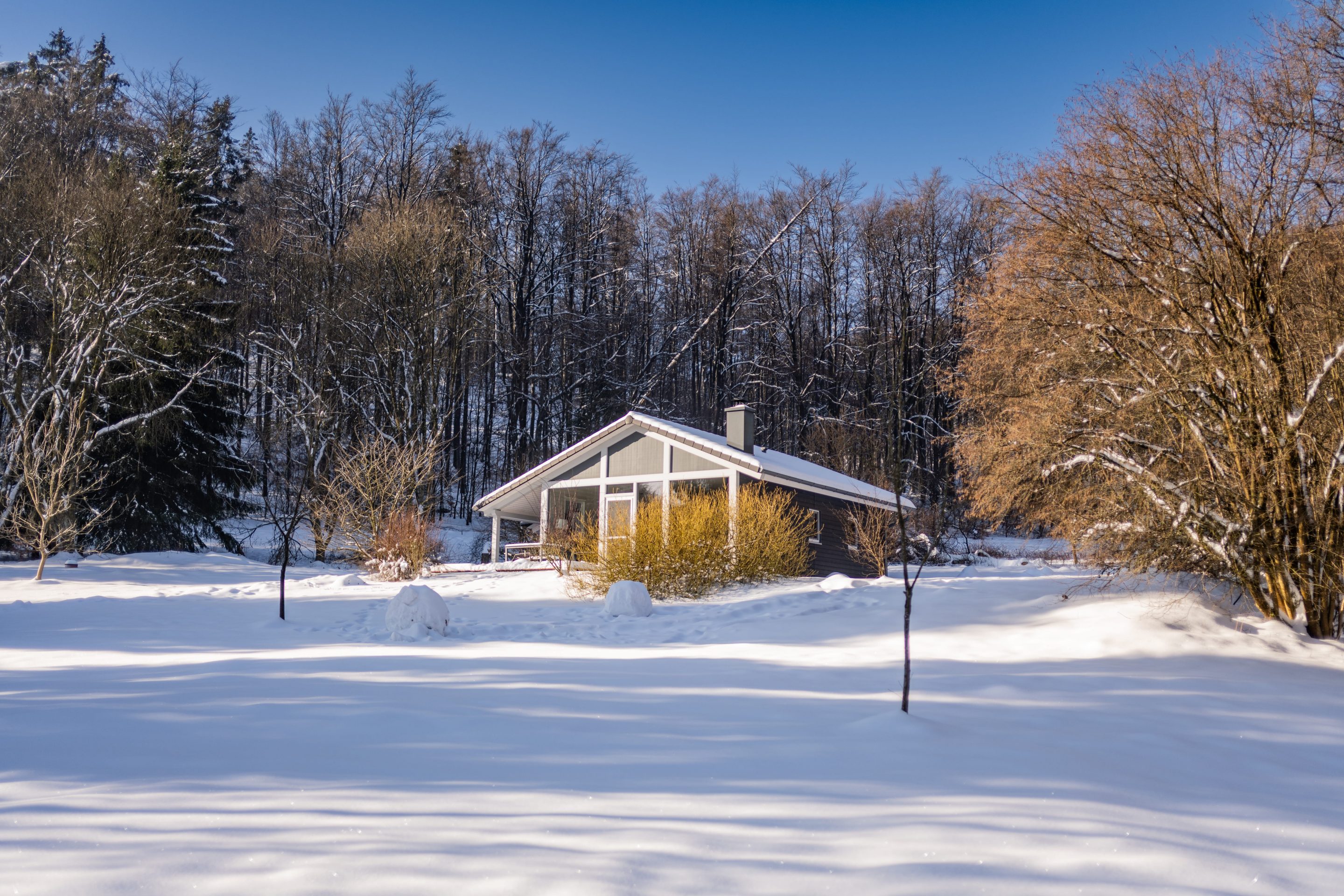 Ein kleines, modernes dunkles Holzhaus mit Satteldach und großer Glasfront steht in einer weiten, unberührten Schneelandschaft vor einer dichten Kulisse aus hohen, laublosen Bäumen unter einem strahlend blauen Winterhimmel.