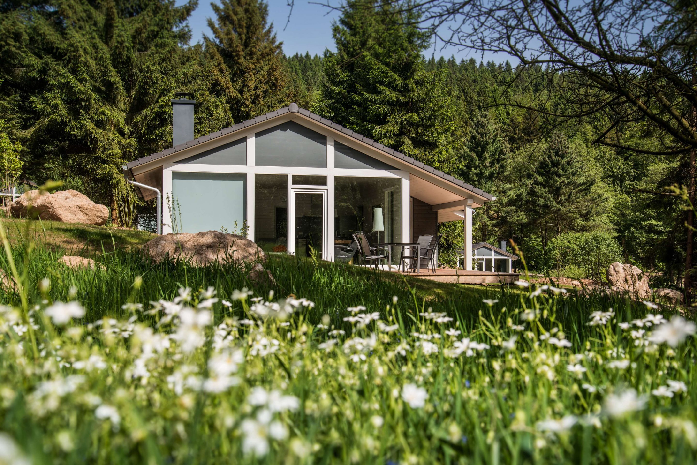 Ein modernes Haus mit großen Fenstern und einer Terrasse, umgeben von grünem Rasen, weißen Wildblumen und einem dichten Wald